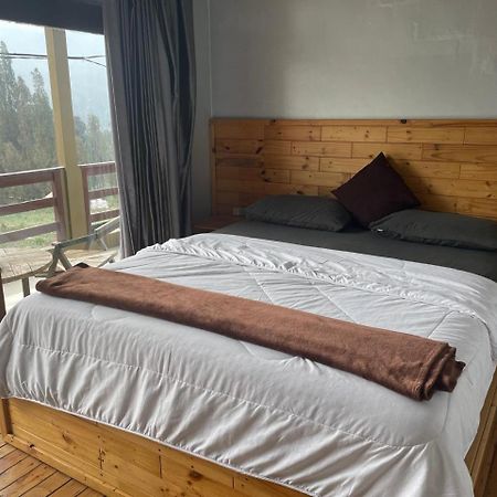 Bromo Semesta Guesthouse Проболинго Екстериор снимка
