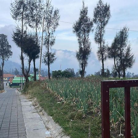 Bromo Semesta Guesthouse Проболинго Екстериор снимка