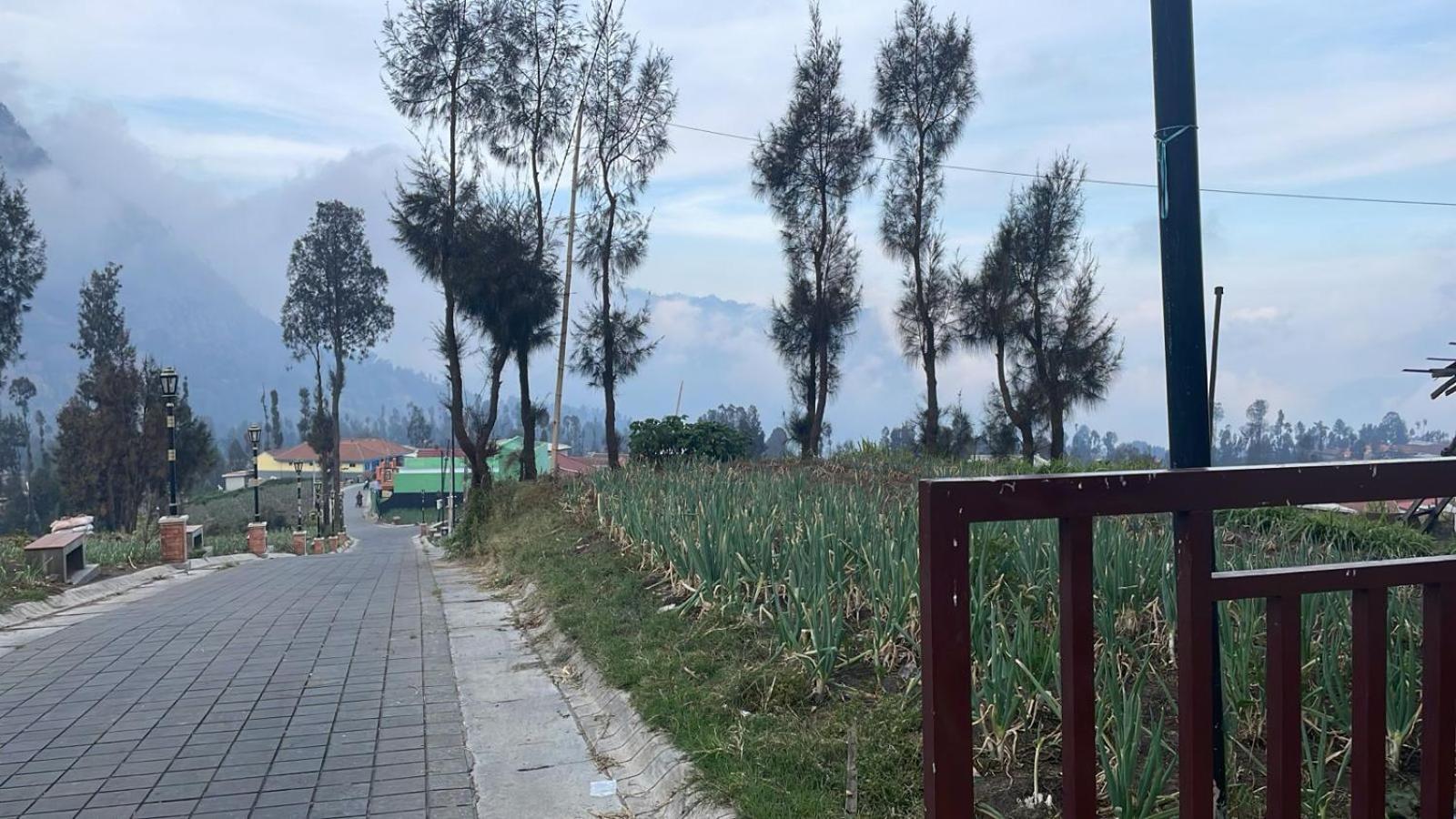 Bromo Semesta Guesthouse Проболинго Екстериор снимка